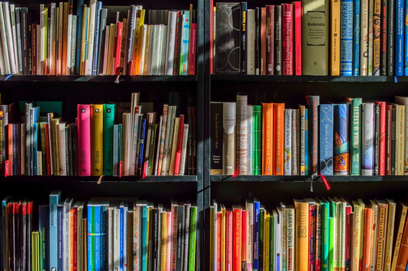 vente-LA SEYNE SUR MER-min_books_bookstore_book_reading_shop_writer_sale_books_read-822866